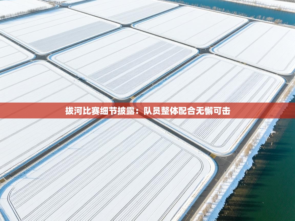 拔河比赛细节披露:队员整体配合无懈可击 第1张