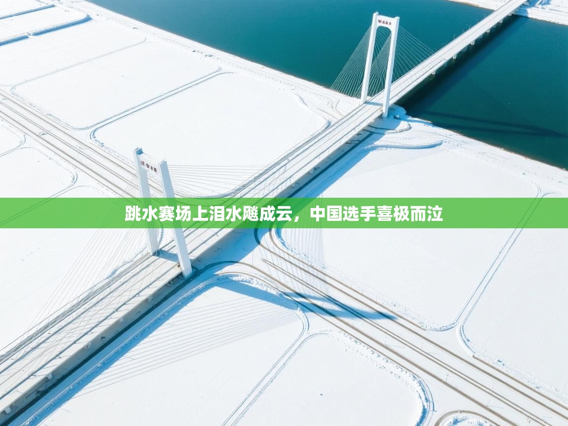 跳水赛场上泪水飚成云,中国选手喜极而泣 第1张